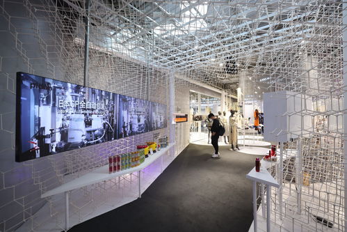 進(jìn)博直擊⑥ 百年字號與年度新品閃耀上海館，共譜網(wǎng)絡(luò)文化新篇章